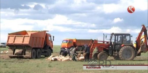 Казахстан улсад уран олборлолтоос болоод олон тооны бөхөн үхжээ