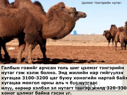 Монгол хамгийн хамгийн Сайхан Монгол орон фото мэдээлэл