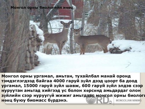 Монгол хамгийн хамгийн Сайхан Монгол орон фото мэдээлэл